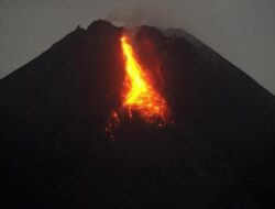 Gunung Merapi Luncurkan Awan Panas Sejauh 1,5 Km