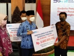 Ratusan Petani Porang Trenggalek Terima Modal 5,7 M Dari BNI