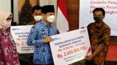 Ratusan Petani Porang Trenggalek Terima Modal 5,7 M Dari BNI