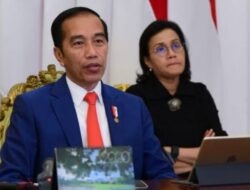 Presiden Jokowi Resmikan Sistem OSS