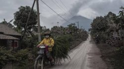 Badan Geologi: Status Gunung Semeru Kini Siaga Level 3