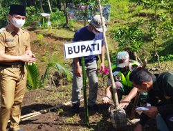 Peringati Hari Tanam Pohon Sedunia, Bupati Arifin Tanam Pohon Di Desa Ngares