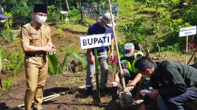 Peringati Hari Tanam Pohon Sedunia, Bupati Arifin Tanam Pohon Di Desa Ngares