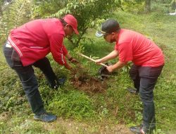 Peringati HUT PDI Perjuangan, DPC PDIP Trenggalek Lakukan Penghijauan di Kawasan Wisata Mapahan