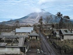 PMI Kabupaten Lumajang Bantu Pengerjaan Huntara Bagi Korban Erupsi Semeru