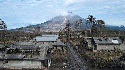 PMI Kabupaten Lumajang Bantu Pengerjaan Huntara Bagi Korban Erupsi Semeru