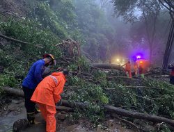 Hujan Deras Akibatkan Tanah Longsor di Perbatasan Trenggalek-Ponorogo