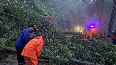 Hujan Deras Akibatkan Tanah Longsor di Perbatasan Trenggalek-Ponorogo