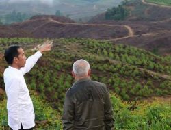 Presiden Jokowi Dijadwalkan Akan Berkemah di IKN Nusantara Bersama 5 Gubernur