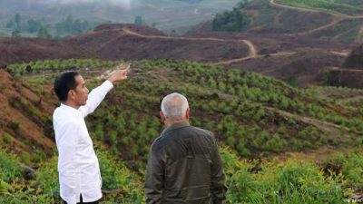 Presiden Jokowi Dijadwalkan Akan Berkemah di IKN Nusantara Bersama 5 Gubernur