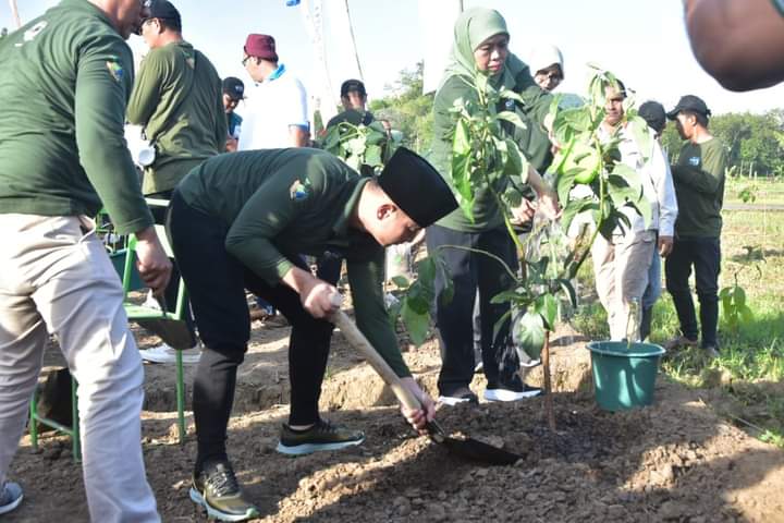 Gubernur Kofifah dan Bupati Arifin Tanam Pohon di Bekas Pertambangan