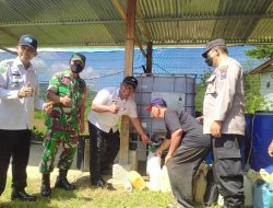 Petani Desa Wonoanti dan Sekitarnya Terima Pupuk Cair Organik Gratis Dari Gapoktan Sedono Makmur