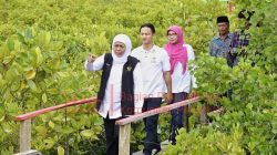 Khofifah Ingin Festival Mangrove ke-4 Digelar Di Trenggalek, Bupati Arifin Sambut Positif