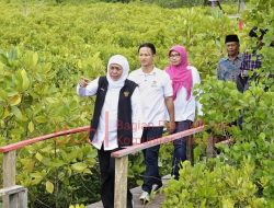 Khofifah Ingin Festival Mangrove ke-4 Digelar Di Trenggalek, Bupati Arifin Sambut Positif