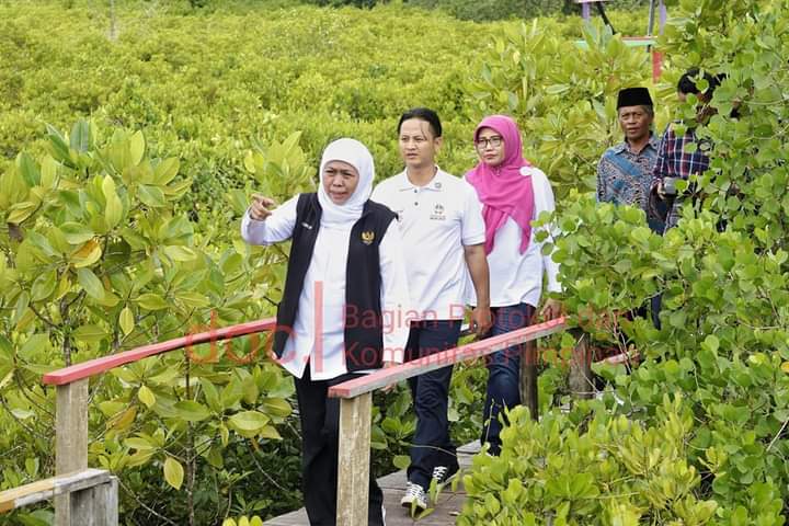 Khofifah Ingin Festival Mangrove ke-4 Digelar Di Trenggalek, Bupati Arifin Sambut Positif