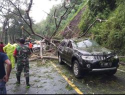 Akibat Diguyur Hujan, Tanah Longsor, Pohon Tumbang dan Menimpa 2 Mobil