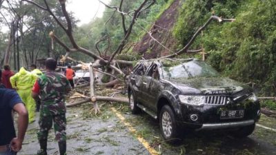 Akibat Diguyur Hujan, Tanah Longsor, Pohon Tumbang dan Menimpa 2 Mobil