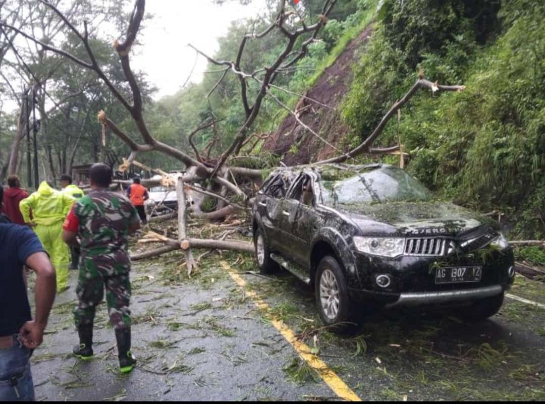 Akibat Diguyur Hujan, Tanah Longsor, Pohon Tumbang dan Menimpa 2 Mobil