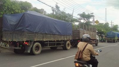 Pengamat: Ekonomi Siapa yang Terhambat Bila Truk Dilarang Melintas di Jalan Kabupaten?