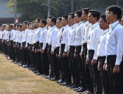 Pemerintah Resmi Buka Pendaftaran Sekolah Kedinasan 2023, Terdapat 4672 Formasi