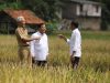 Jokowi Dorong Sensus Pertanian Dilakukan Setiap 5 Tahun