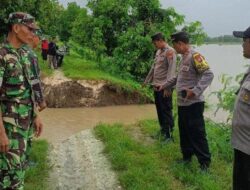 Digerus Arus Luapan Air Bengawan Solo, Tanggul Wedok di Maduran Lamongan Jebol