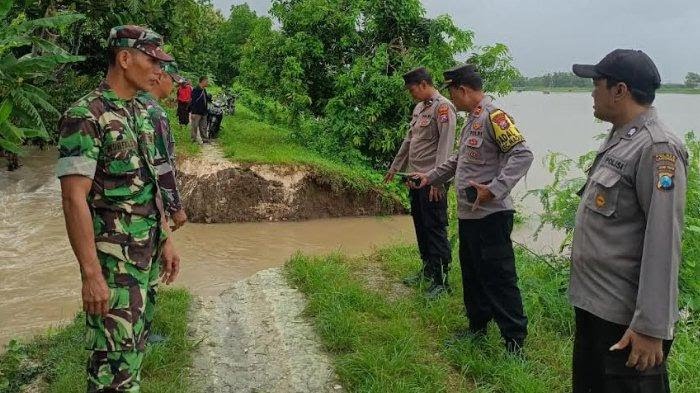 Digerus Arus Luapan Air Bengawan Solo, Tanggul Wedok di Maduran Lamongan Jebol