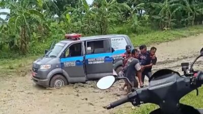 Mobil Sehat Pemdes Sidobangun Lamongan Nyungsep ke Persawahan, Tak Ada Korban Jiwa