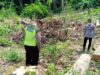 Gempar! Orok Bayi Berjenis Perempuan Ditemukan Warga Sambeng di Hutan Lamongan