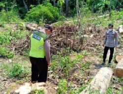 Gempar! Orok Bayi Berjenis Perempuan Ditemukan Warga Sambeng di Hutan Lamongan