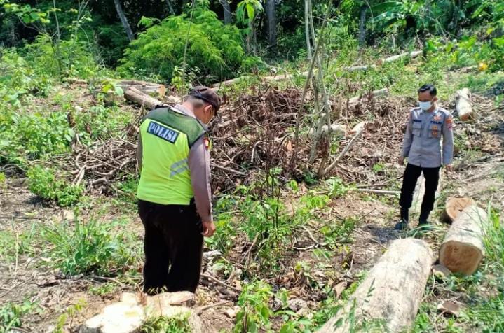 Gempar! Orok Bayi Berjenis Perempuan Ditemukan Warga Sambeng di Hutan Lamongan