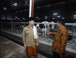 Investor Sapi Perah Masuk Ke Desa Boto Putih, Bupati Arifin Sambut Positif