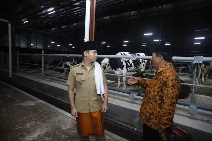 Investor Sapi Perah Masuk Ke Desa Boto Putih, Bupati Arifin Sambut Positif