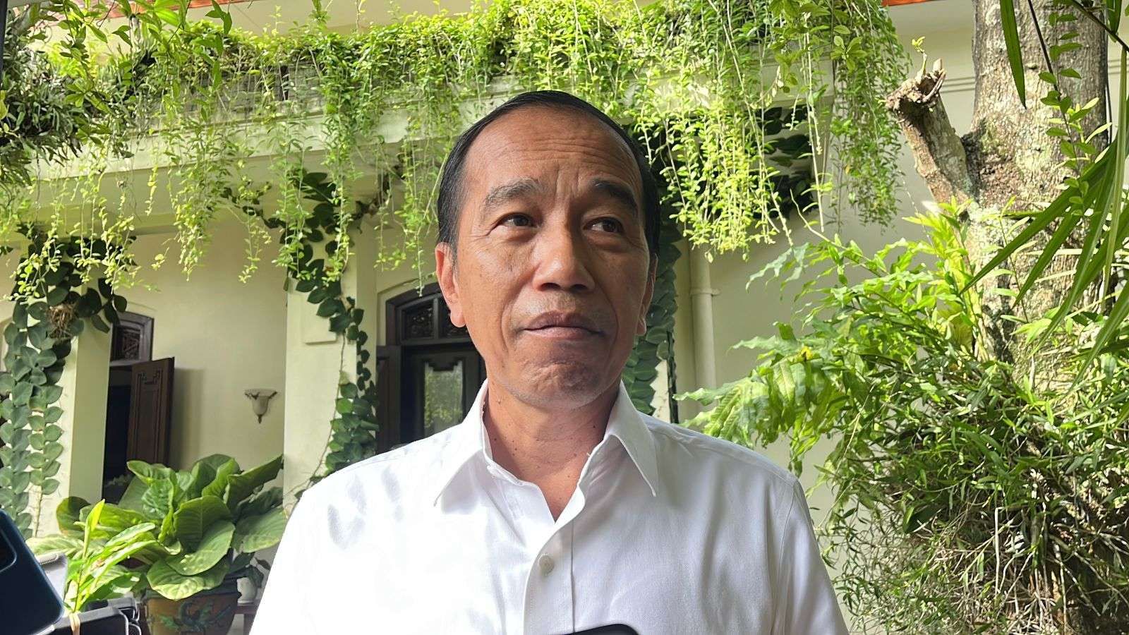 Foto: Jokowi