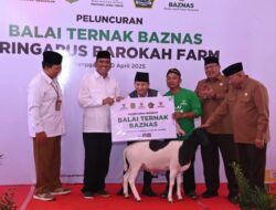 Bupati Arifin Dukung Penuh Program Balai Ternak Oleh Baznas Pusat
