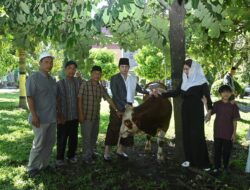 Bupati Arifin Serahkan 2 Sapi Kurban Untuk Korban Bencana dan Ponpes Kidul Kali