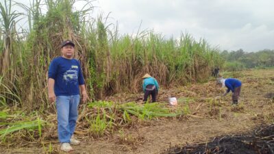 Dukung Program Kedaulatan Pangan Dari Presiden Prabowo, Kader Gerindra Trenggalek Geluti Usaha Perkebunan Tebu