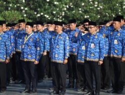 ASN Bakal Digaji Pakai Single Salary, Apa Itu?