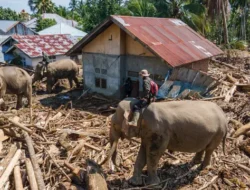 Menteri ATR/BPN Pastikan Ngurus Sertivikat Tanah Gratis Khusus Bagi Warga Korban Banjir Sumatera