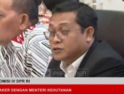 Bencana Sumatera, Legal Loging Punya Saham Terbesar Kerusakan Alam di Indonesia