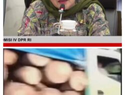 Ada Truk Muatan Kayu Besar Melintas 2 Hari Setelah Bencana Sumatera, Titiek Soeharto: Cari Siapa Perusahaan itu, Ini Penghinaan