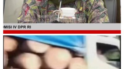 Ada Truk Muatan Kayu Besar Melintas 2 Hari Setelah Bencana Sumatera, Titiek Soeharto: Cari Siapa Perusahaan itu, Ini Penghinaan