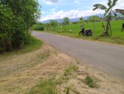 Kenapa Warga Desa Ngentrong Tolak Penambangan PT. DJawani Gunung Abadi, Ini Penjelasan Kades