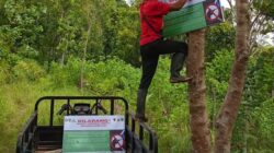 Berburu Satwa di Kawasan Hutan Kota dan Sekitarnya Bisa Kena Sangsi