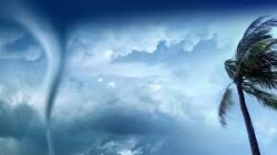 Akibat Angin Kencang Satu Orang Dilaporkan Meninggal Dunia Di Desa Sukorame, Gandusari