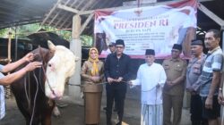 Wabup Syah Serahkan Sapi Khurban Presiden Prabowo di Trenggalek