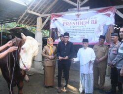 Wabup Syah Serahkan Sapi Khurban Presiden Prabowo di Trenggalek