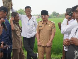 Bupati Arifin : Program KDKMP Bertujuan Mengamalkan Pasal 33 UUD 1945